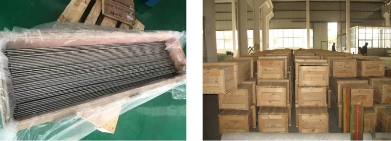 Nickel Alloy 200/201 U Bend Tubes Nickel Alloy 200/201 U Bend Tubes