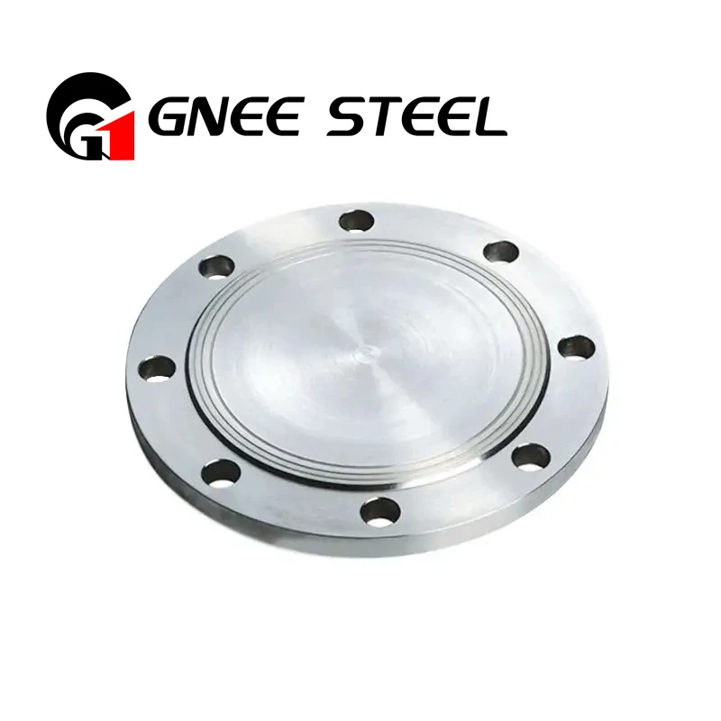 pate flange pate flange
