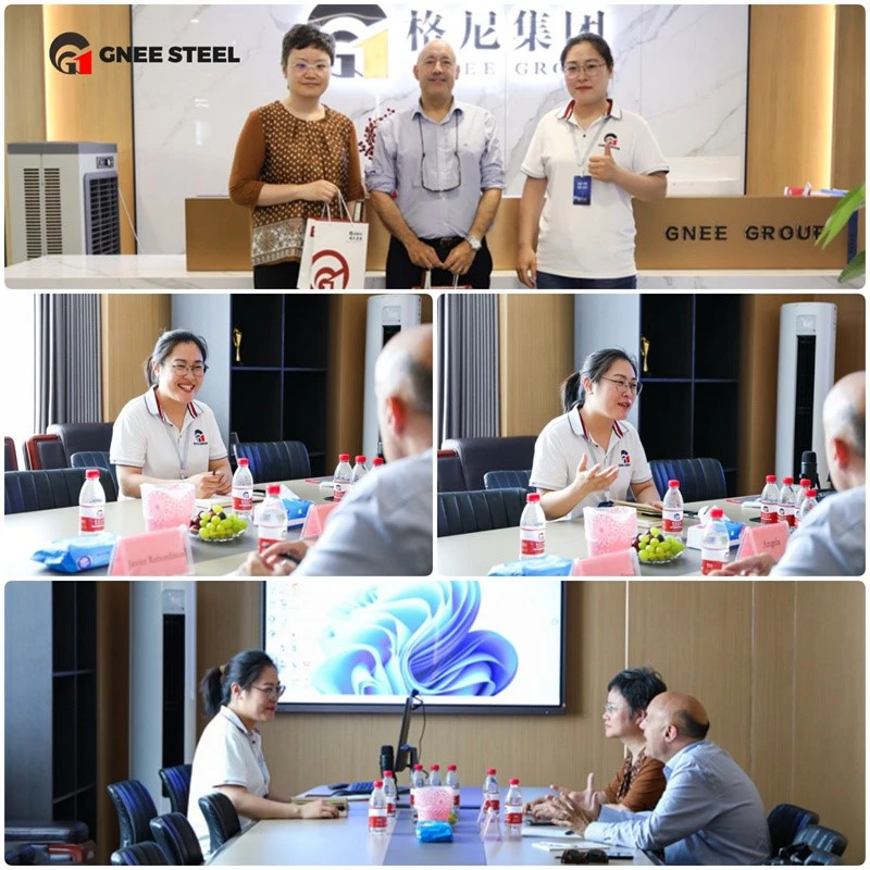 Gnee Customer visit Gnee Customer visit